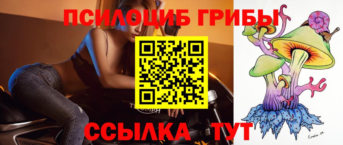Дербент  Псилоцибиновые грибы Cubensis  Вход с VPN 